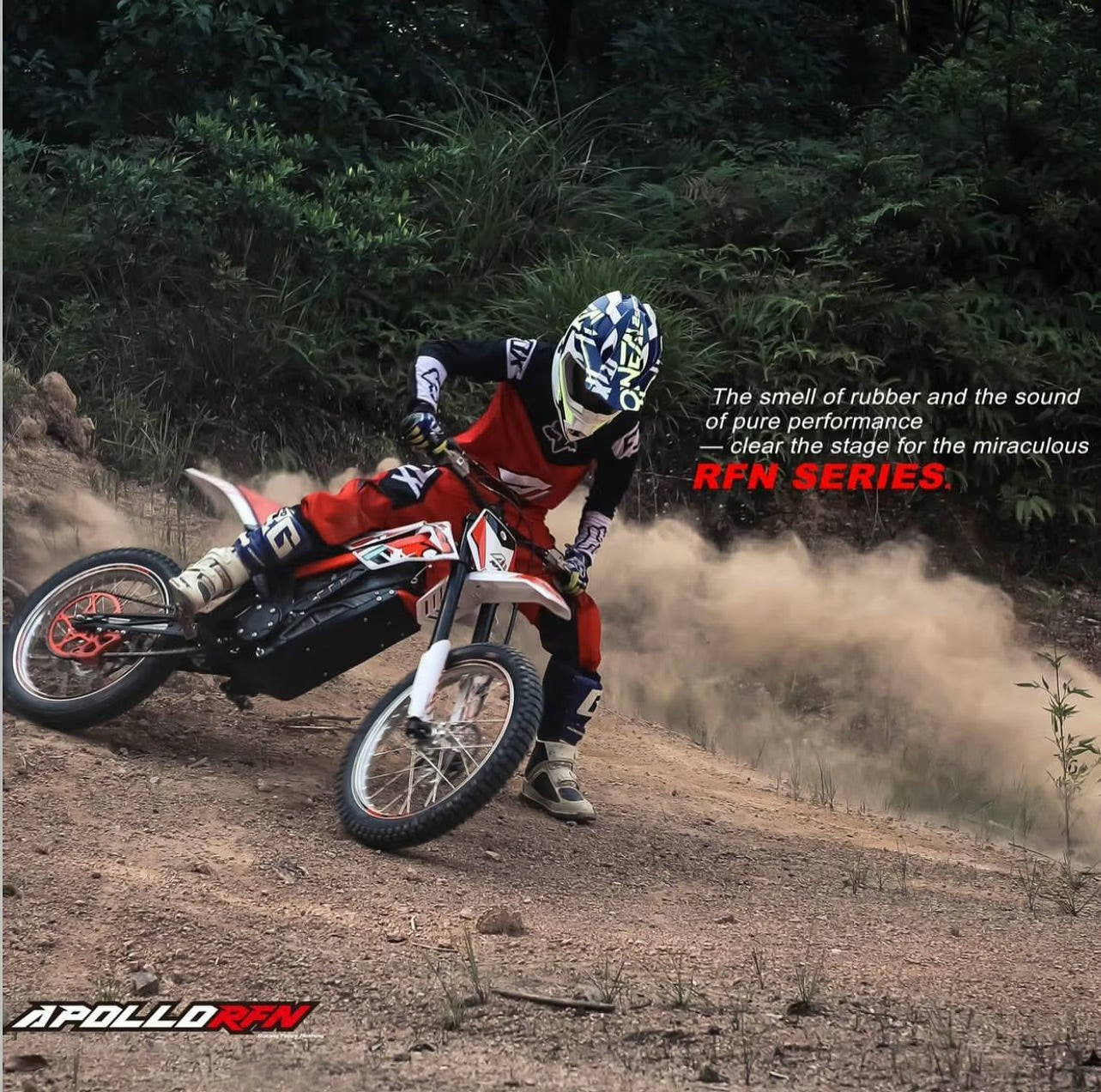 ARES RALLY PRO DLX Electric Dirt Bike