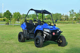 BLADE 200UTV  EFI