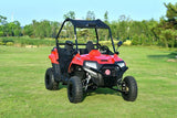 BLADE 200UTV  EFI