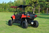 BLADE 200UTV  EFI