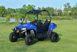 BLADE 200UTV  EFI