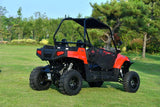 BLADE 200UTV  EFI