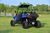 BLADE 200UTV  EFI