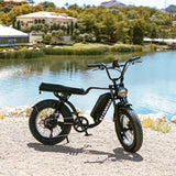 F2 Nakto E- Bikes