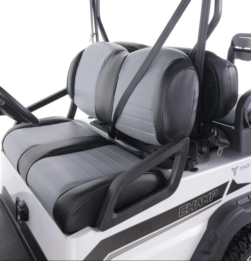 Close-up of modern TAO Champ golf cart interior with gray and black seats and seat belts