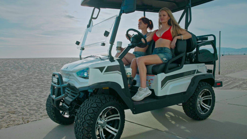 Tao Tao Golf Cart 48V - 4 SEAT Free Shipping - TurboPowersports.com