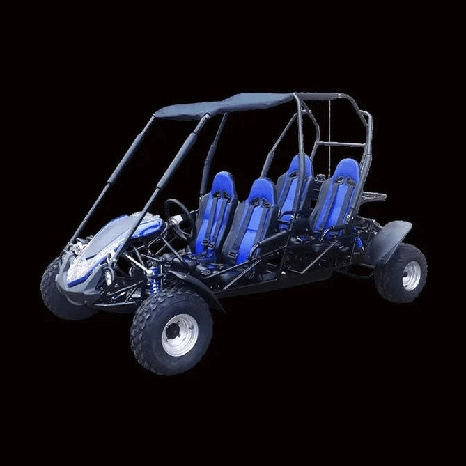 Black four-seat go-kart with blue coil springs, canopy, and gray red graphics on hood