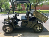 HJS BIGHORN 450 EFI 4X4 UTV