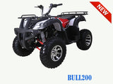 BULL 200 Automatic ATV with Reverse