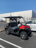 ROVER (LITHIUM BATTERY) E 4X2 UTV  GOLF CART