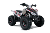 TRAILHAWK YOUTH 10 120cc Automatic with Reverse