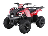 D125 Automatic ATV with Reverse
