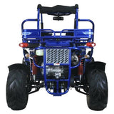 300cc Go Kart XRX-E EFI Fuel Injected Automatic CVT w/Reverse Dune Buggy