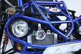300cc Go Kart XRX-E EFI Fuel Injected Automatic CVT w/Reverse Dune Buggy