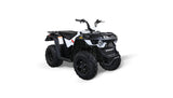 Bennche Gray Wolf 150 AUTOMATIC with Reverse ATV