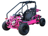 GK110 Automatic GO KART with Reverse