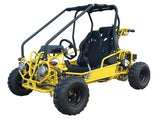 GK110 Automatic GO KART with Reverse