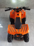 Anaheim Ducks Limited Edition 800W  E ATV