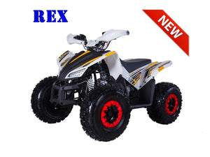 REX 120 ATV automatic with reverse