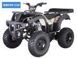 RHINO 250 Manual ATV with Reverse