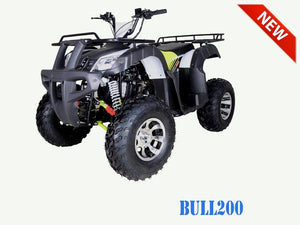 BULL 200 Automatic ATV with Reverse