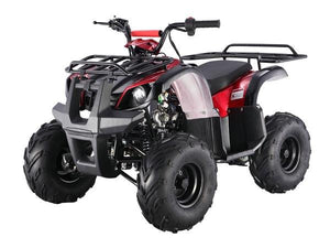 D125 Automatic ATV with Reverse
