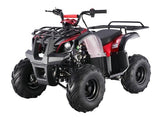 D125 Automatic ATV with Reverse