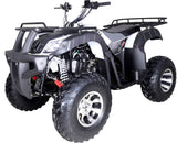 BULL 200 Automatic ATV with Reverse