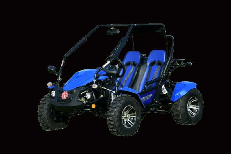 VENTURE 200 EFI AUTOMATIC GOKART - TurboPowersports.com