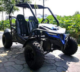 200cc EFI  Cheetah UTV Utility Vehicle Go Kart Fully Automatic With Reverse - Cheetah 200