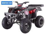 RHINO 250 Manual ATV with Reverse