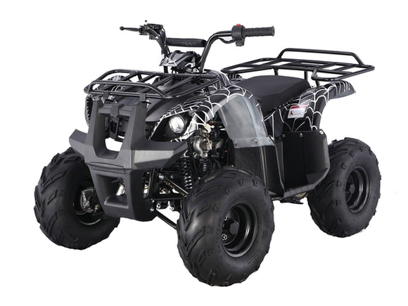 D125 Automatic ATV with Reverse
