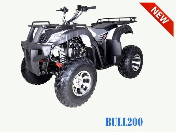 BULL 200 Automatic ATV with Reverse