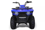 BIGHORN 150 AUTOMATIC ATV