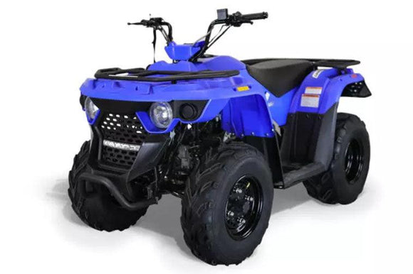 BIGHORN 150 AUTOMATIC ATV