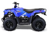 BIGHORN 150 AUTOMATIC ATV