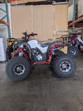 RAPTOR 125cc Automatic ATV