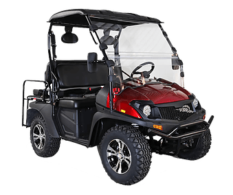 HJS BIGHORN 200 GVXL 4X2 HIGH/LOW SPECIAL EDITION UTV GOLF CART - TurboPowersports.com