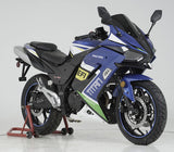 Titan 250 EFI, 6 speed sport bike, Oversized front and rear brakes, Custom Alloy Rims [CA LEGAL]