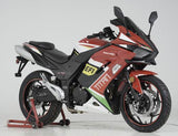 Titan 250 EFI, 6 speed sport bike, Oversized front and rear brakes, Custom Alloy Rims [CA LEGAL]