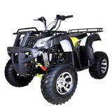 BULL 200 Automatic ATV with Reverse