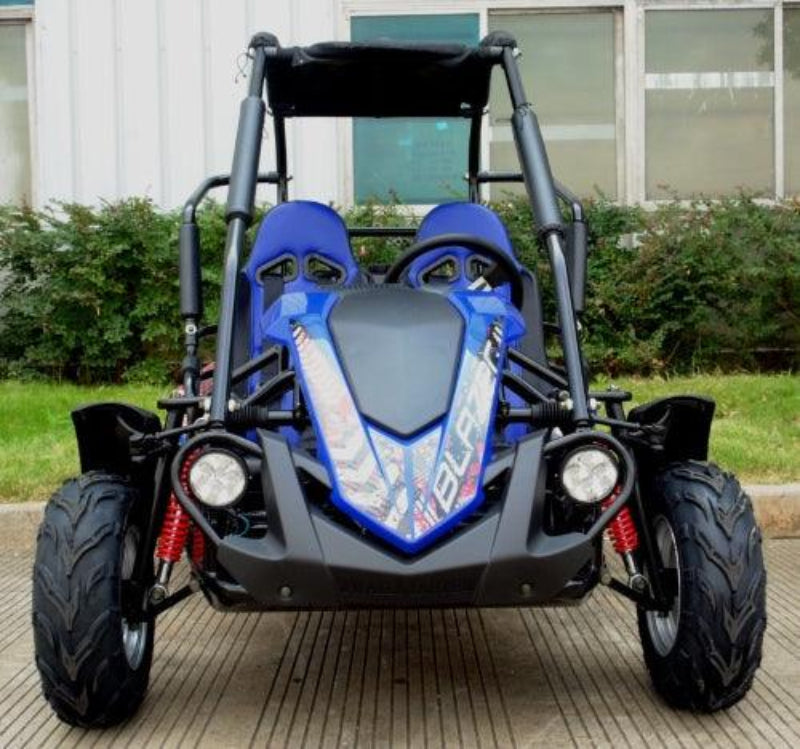  TrailMaster Blazer 200R Mid Size Go Kart - TurboPowersports.com