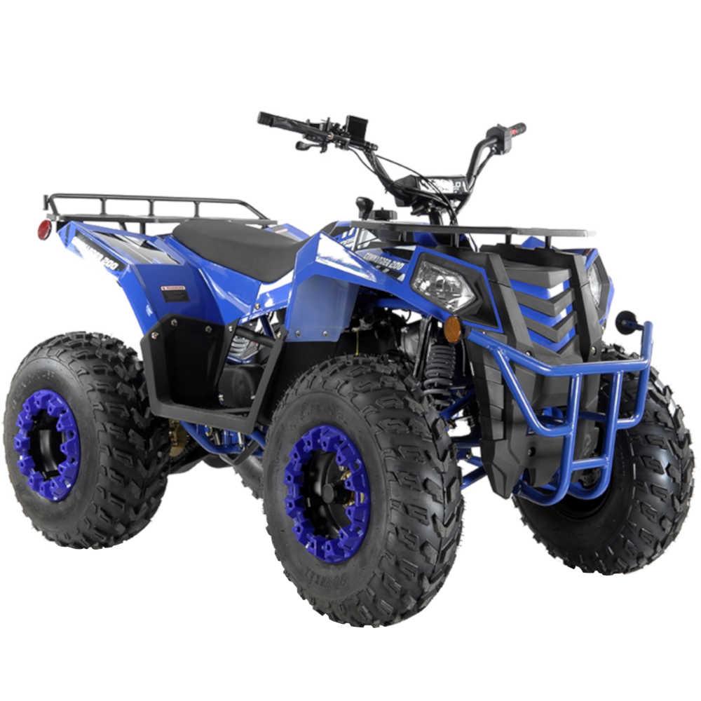 Blue Commander 200 automatic ATV W/ Reverse- TurboPowersports.com