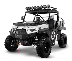 BMS THE BEAST 1000 2S | 2 Seater UTV