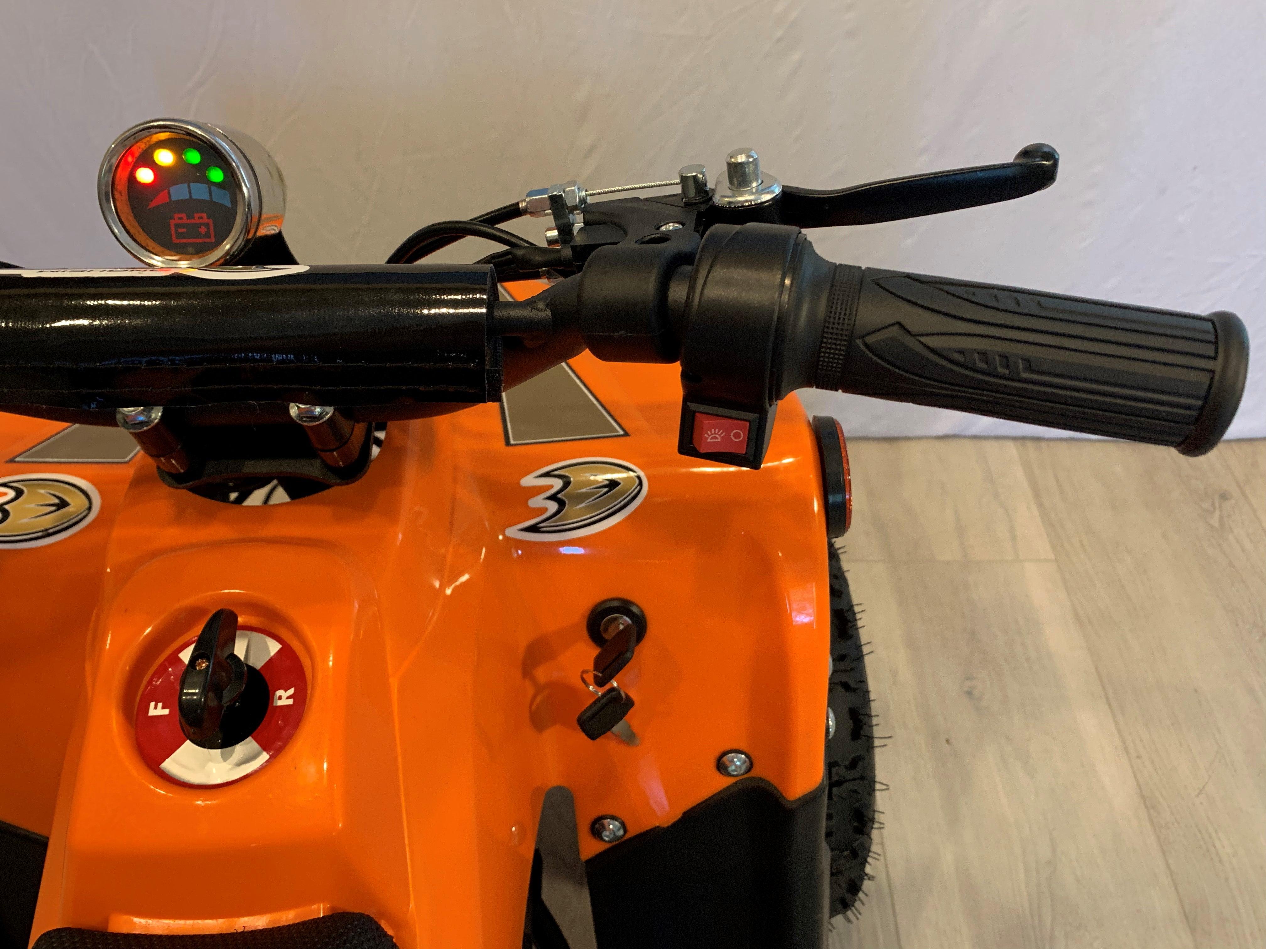 Anaheim Ducks Limited Edition 800W E ATV 72HR SALE