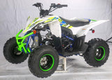 PENTORA 125CC ATV