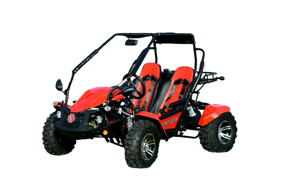 VENTURE 200 EFI AUTOMATIC GOKART