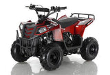 MINI COMMANDER 110CC AUTOMATIC ATV