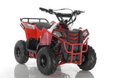 MINI COMMANDER 110CC AUTOMATIC ATV