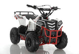 MINI COMMANDER 110CC AUTOMATIC ATV